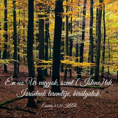 Picture 03 - Ézsaiás 43:15 KAR - Én az Úr vagyok, szent [Istene]tek, Izráelnek - Bible Verse Picture
