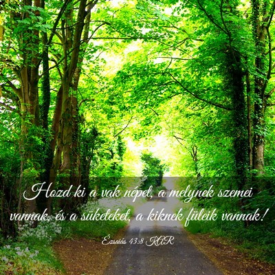 Picture 03 - Ézsaiás 43:8 KAR - Hozd ki a vak népet, a melynek szemei vannak, - Bible Verse Picture