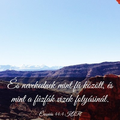 Picture 03 - Ézsaiás 44:4 KAR - És nevekednek mint fû között, és mint a - Bible Verse Picture
