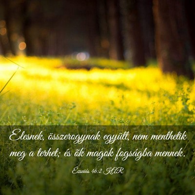 Picture 03 - Ézsaiás 46:2 KAR - Elesnek, összerogynak együtt, nem menthetik meg - Bible Verse Picture