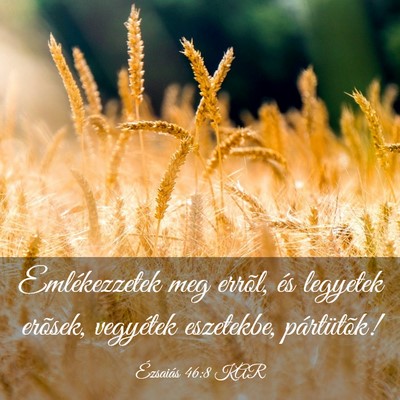Picture 03 - Ézsaiás 46:8 KAR - Emlékezzetek meg errõl, és legyetek erõsek, - Bible Verse Picture