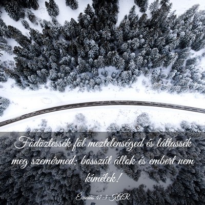 Picture 03 - Ézsaiás 47:3 KAR - Födöztessék föl meztelenséged és - Bible Verse Picture