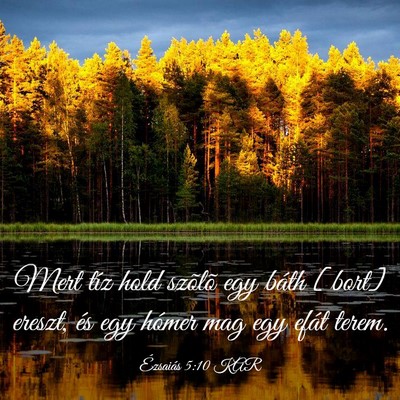 Picture 03 - Ézsaiás 5:10 KAR - Mert tíz hold szõlõ egy báth [bort] ereszt, - Bible Verse Picture
