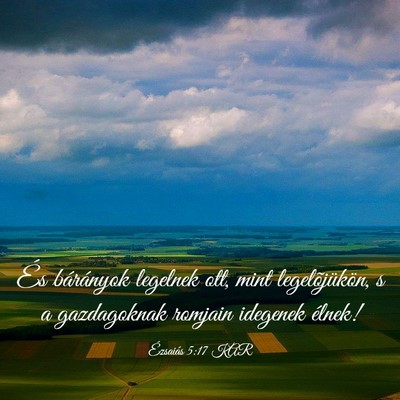 Picture 03 - Ézsaiás 5:17 KAR - És bárányok legelnek ott, mint legelõjükön, - Bible Verse Picture