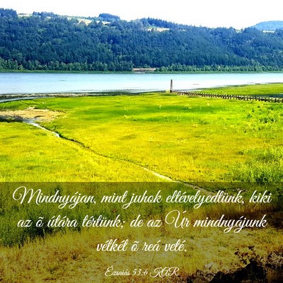 Picture 03 - Ézsaiás 53:6 KAR - Mindnyájan, mint juhok eltévelyedtünk, kiki az - Bible Verse Picture