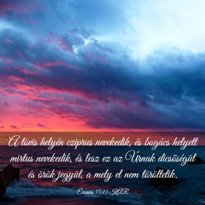 Picture 03 - Ézsaiás 55:13 KAR - A tövis helyén cziprus nevekedik, és bogács - Bible Verse Picture