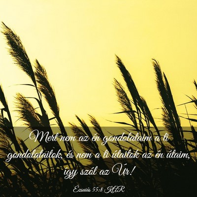 Picture 03 - Ézsaiás 55:8 KAR - Mert nem az én gondolataim a ti gondolataitok, - Bible Verse Picture