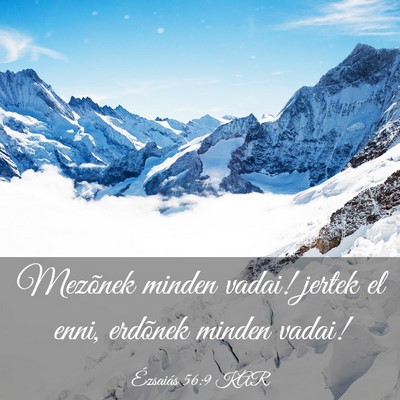 Picture 03 - Ézsaiás 56:9 KAR - Mezõnek minden vadai! jertek el enni, erdõnek - Bible Verse Picture