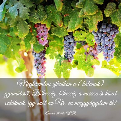 Picture 03 - Ézsaiás 57:19 KAR - Megteremtem ajkaikon a [hálának] gyümölcsét. - Bible Verse Picture