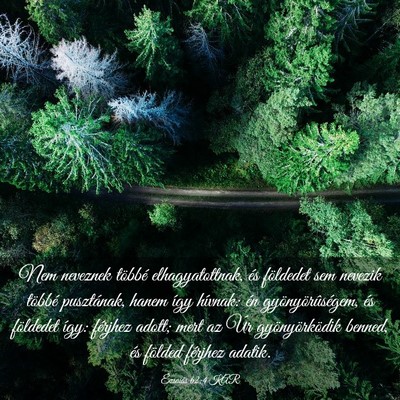 Picture 03 - Ézsaiás 62:4 KAR - Nem neveznek többé elhagyatottnak, és - Bible Verse Picture