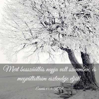 Picture 03 - Ézsaiás 63:4 KAR - Mert bosszúállás napja volt szívemben, és - Bible Verse Picture
