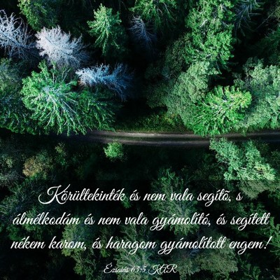Picture 03 - Ézsaiás 63:5 KAR - Körültekinték és nem vala segítõ, s - Bible Verse Picture