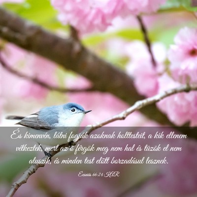 Picture 03 - Ézsaiás 66:24 KAR - És kimenvén, látni fogják azoknak - Bible Verse Picture