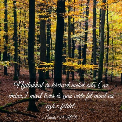 Picture 03 - Ézsaiás 7:24 KAR - Nyilakkal és kézívvel mehet oda [az ember,] - Bible Verse Picture