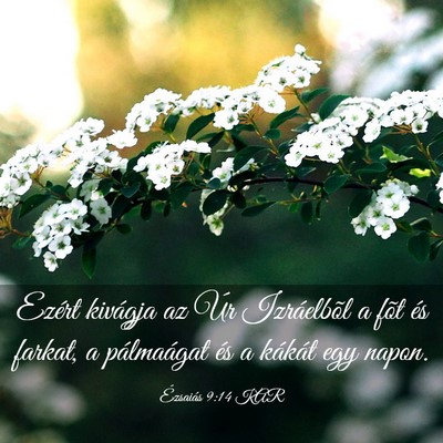 Picture 03 - Ézsaiás 9:14 KAR - Ezért kivágja az Úr Izráelbõl a fõt és - Bible Verse Picture