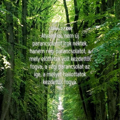 Picture 04 - 1 János 2:7 KAR - Atyámfiai, nem új parancsolatot írok néktek, - Bible Verse Picture