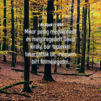 Picture 04 - 1 Királyok 1:1 KAR - Mikor pedig megvénhedt és megöregedett Dávid - Bible Verse Picture