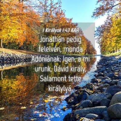 Picture 04 - 1 Királyok 1:43 KAR - Jonathán pedig felelvén, monda Adóniának: - Bible Verse Picture