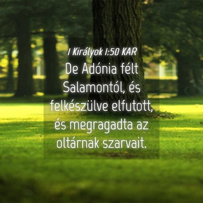 Picture 04 - 1 Királyok 1:50 KAR - De Adónia félt Salamontól, és felkészülve - Bible Verse Picture