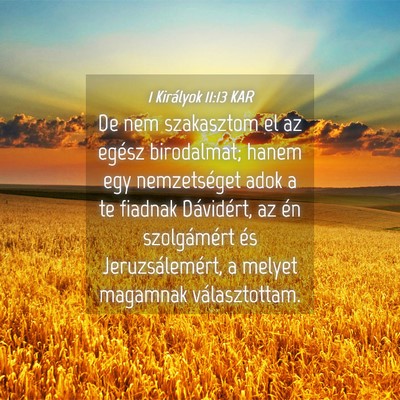 Picture 04 - 1 Királyok 11:13 KAR - De nem szakasztom el az egész birodalmat; hanem - Bible Verse Picture