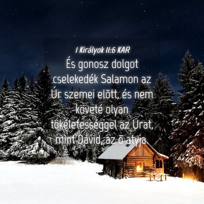 Picture 04 - 1 Királyok 11:6 KAR - És gonosz dolgot cselekedék Salamon az Úr - Bible Verse Picture