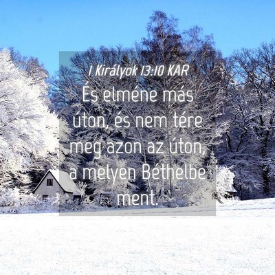 Picture 04 - 1 Királyok 13:10 KAR - És elméne más úton, és nem tére meg azon az - Bible Verse Picture
