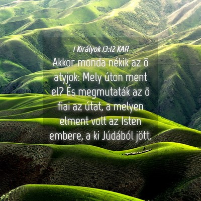 Picture 04 - 1 Királyok 13:12 KAR - Akkor monda nékik az õ atyjok: Mely úton ment - Bible Verse Picture