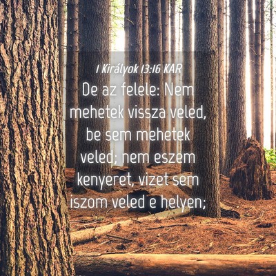 Picture 04 - 1 Királyok 13:16 KAR - De az felele: Nem mehetek vissza veled, be sem - Bible Verse Picture