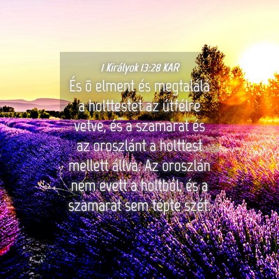 Picture 04 - 1 Királyok 13:28 KAR - És õ elment és megtalálá a holttestet az - Bible Verse Picture