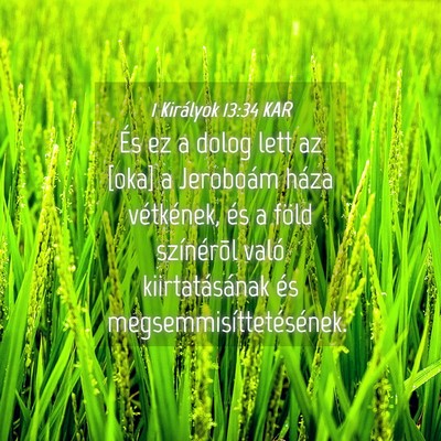 Picture 04 - 1 Királyok 13:34 KAR - És ez a dolog lett az [oka] a Jeroboám háza - Bible Verse Picture