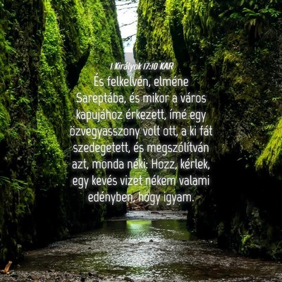 Picture 04 - 1 Királyok 17:10 KAR - És felkelvén, elméne Sareptába, és mikor a - Bible Verse Picture