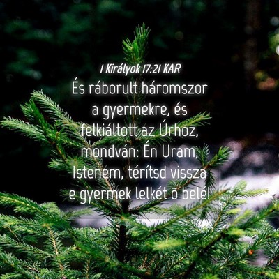 Picture 04 - 1 Királyok 17:21 KAR - És ráborult háromszor a gyermekre, és - Bible Verse Picture
