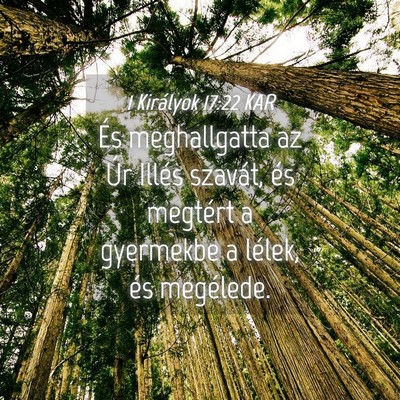 Picture 04 - 1 Királyok 17:22 KAR - És meghallgatta az Úr Illés szavát, és - Bible Verse Picture