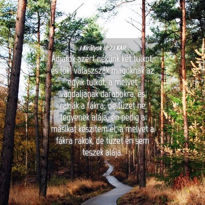 Picture 04 - 1 Királyok 18:23 KAR - Adjatok azért nékünk két tulkot, és [õk] - Bible Verse Picture