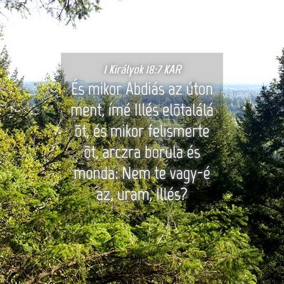 Picture 04 - 1 Királyok 18:7 KAR - És mikor Abdiás az úton ment, ímé Illés - Bible Verse Picture