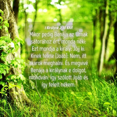 Picture 04 - 1 Királyok 2:30 KAR - Mikor pedig Benája az Úrnak sátorához ért, - Bible Verse Picture