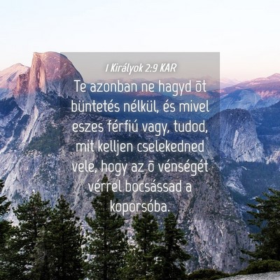 Picture 04 - 1 Királyok 2:9 KAR - Te azonban ne hagyd õt büntetés nélkül, és - Bible Verse Picture