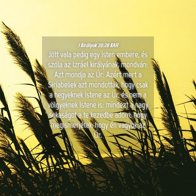 Picture 04 - 1 Királyok 20:28 KAR - Jött vala pedig egy Isten embere, és szóla az - Bible Verse Picture