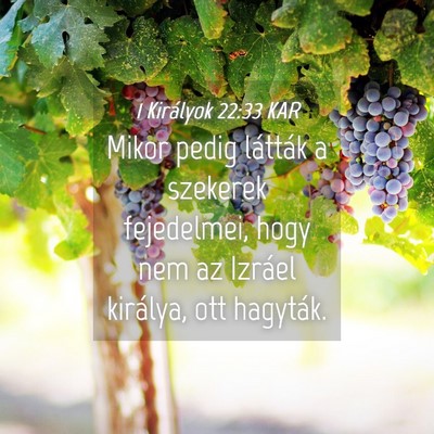 Picture 04 - 1 Királyok 22:33 KAR - Mikor pedig látták a szekerek fejedelmei, hogy - Bible Verse Picture