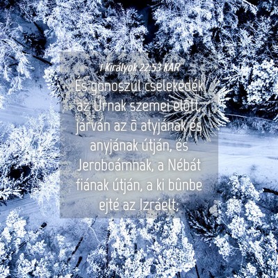 Picture 04 - 1 Királyok 22:53 KAR - És gonoszul cselekedék az Úrnak szemei elõtt, - Bible Verse Picture