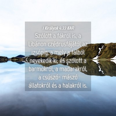 Picture 04 - 1 Királyok 4:33 KAR - Szólott a fákról is, a Libánon - Bible Verse Picture