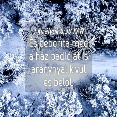Picture 04 - 1 Királyok 6:30 KAR - És beborítá még a ház padlóját is - Bible Verse Picture