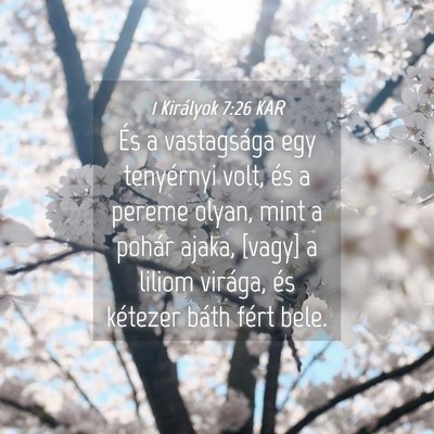 Picture 04 - 1 Királyok 7:26 KAR - És a vastagsága egy tenyérnyi volt, és a - Bible Verse Picture