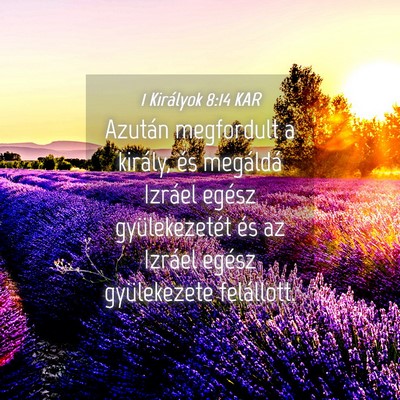 Picture 04 - 1 Királyok 8:14 KAR - Azután megfordult a király, és megáldá - Bible Verse Picture