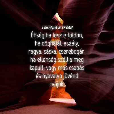 Picture 04 - 1 Királyok 8:37 KAR - Éhség ha lesz e földön, ha döghalál, - Bible Verse Picture