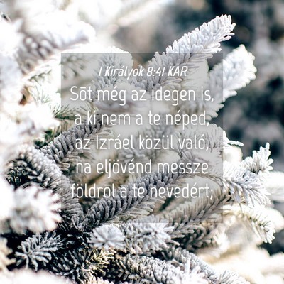 Picture 04 - 1 Királyok 8:41 KAR - Sõt még az idegen is, a ki nem a te néped, az - Bible Verse Picture