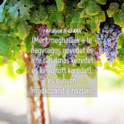 Picture 04 - 1 Királyok 8:42 KAR - (Mert meghallják a te nagyságos nevedet és a - Bible Verse Picture