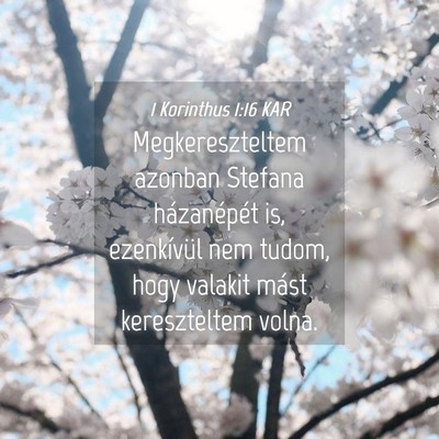 Picture 04 - 1 Korinthus 1:16 KAR - Megkereszteltem azonban Stefana házanépét is, - Bible Verse Picture