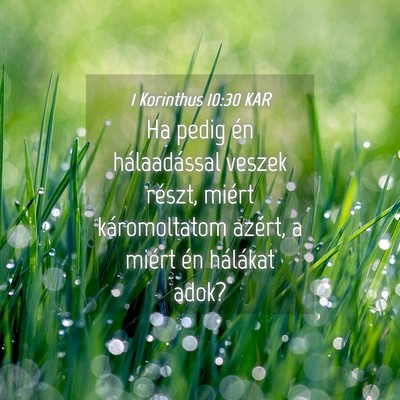 Picture 04 - 1 Korinthus 10:30 KAR - Ha pedig én hálaadással veszek részt, miért - Bible Verse Picture