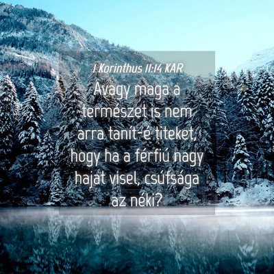 Picture 04 - 1 Korinthus 11:14 KAR - Avagy maga a természet is nem arra tanít-é - Bible Verse Picture